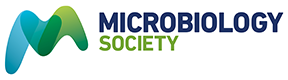 www.microbiologyresearch.org